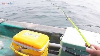 Морская рыбалка у Кото: мелких групперов отпускаем обратно