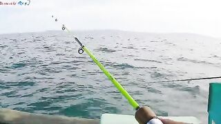 Морская рыбалка у Кото: мелких групперов отпускаем обратно