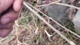 Поплавочная оснастка на Тырнава-Маре: подуст и голавль в Румынии