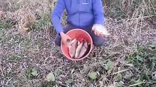 Поплавочная оснастка на Тырнава-Маре: подуст и голавль в Румынии