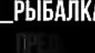 Тысяча километров до Онеги и первый судак с лодки