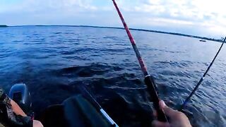 Тысяча километров до Онеги и первый судак с лодки