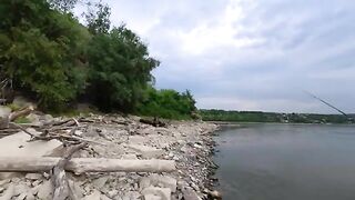 Жерех снова подошел к Петроварадинской крепости