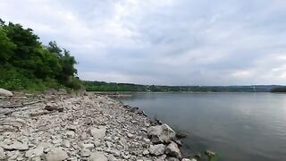 Жерех снова подошел к Петроварадинской крепости