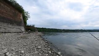 Жерех снова подошел к Петроварадинской крепости