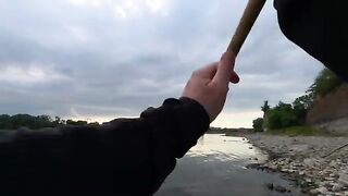 Жерех снова подошел к Петроварадинской крепости