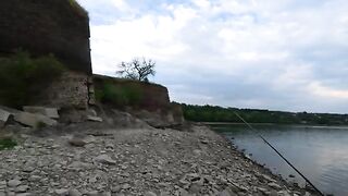 Жерех снова подошел к Петроварадинской крепости