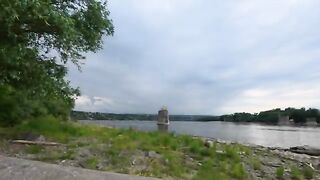 Жерех снова подошел к Петроварадинской крепости