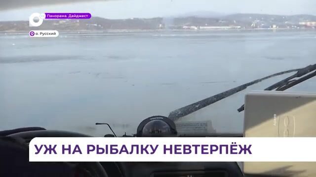 Рыбаки на первом льду бухты Новик у острова Русский: старый репортаж о зимней рыбалке