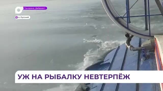 Рыбаки на первом льду бухты Новик у острова Русский: старый репортаж о зимней рыбалке