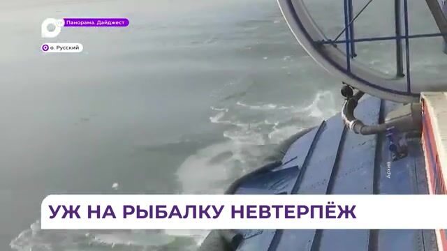 Рыбаки на первом льду бухты Новик у острова Русский: старый репортаж о зимней рыбалке