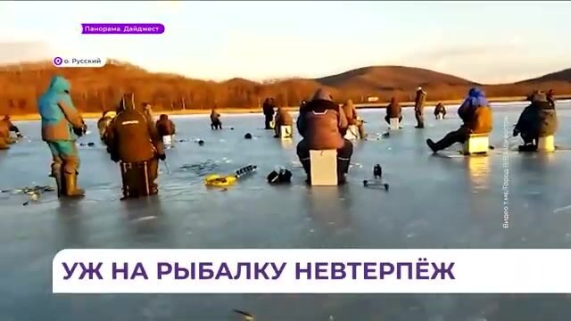 Рыбаки на первом льду бухты Новик у острова Русский: старый репортаж о зимней рыбалке