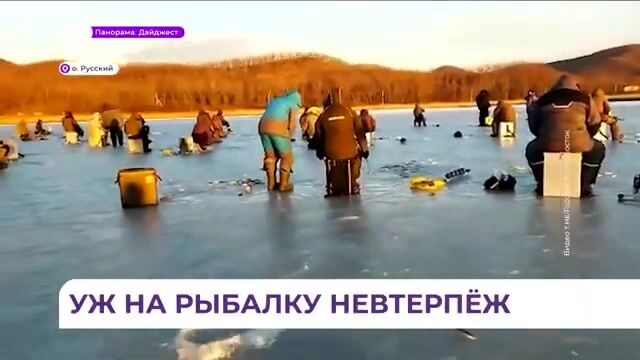 Рыбаки на первом льду бухты Новик у острова Русский: старый репортаж о зимней рыбалке