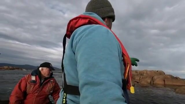 Два крупных лангуста в одной ловушке у Тасмании: промысел возле острова Бруни