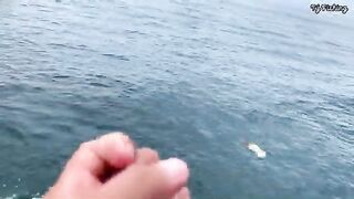Нёнли у Куинёна: на рыбалку к скалам и обед на берегу