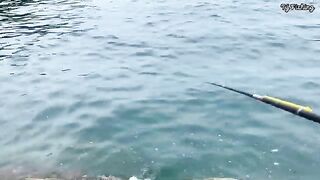 Нёнли у Куинёна: на рыбалку к скалам и обед на берегу