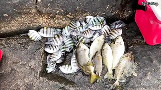Нёнли у Куинёна: на рыбалку к скалам и обед на берегу