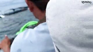 Нёнли у Куинёна: на рыбалку к скалам и обед на берегу