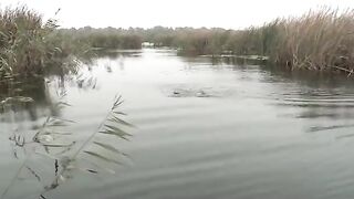 Как проводка глайдера помогла найти щуку в дельте Дуная