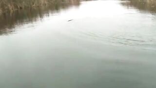 Как проводка глайдера помогла найти щуку в дельте Дуная
