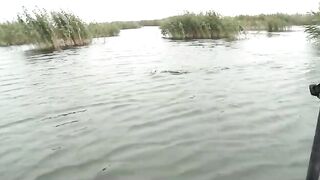 Как проводка глайдера помогла найти щуку в дельте Дуная