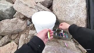 Русский остров: первая рыбалка под мостом и три скумбрии на пилькер