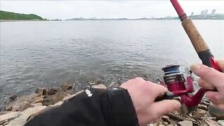 Русский остров: первая рыбалка под мостом и три скумбрии на пилькер