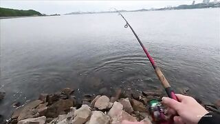 Русский остров: первая рыбалка под мостом и три скумбрии на пилькер