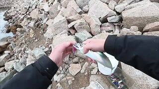 Русский остров: первая рыбалка под мостом и три скумбрии на пилькер
