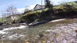 Три форели и много хариуса на реке Молдова в Румынии