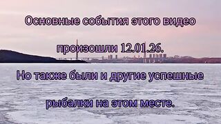 Бухта Житкова, Русский остров: навага на махалки и тяжелая дорога домой