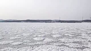Бухта Житкова, Русский остров: навага на махалки и тяжелая дорога домой