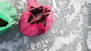 Бухта Житкова, Русский остров: навага на махалки и тяжелая дорога домой