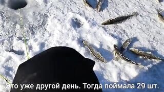 Бухта Житкова, Русский остров: навага на махалки и тяжелая дорога домой