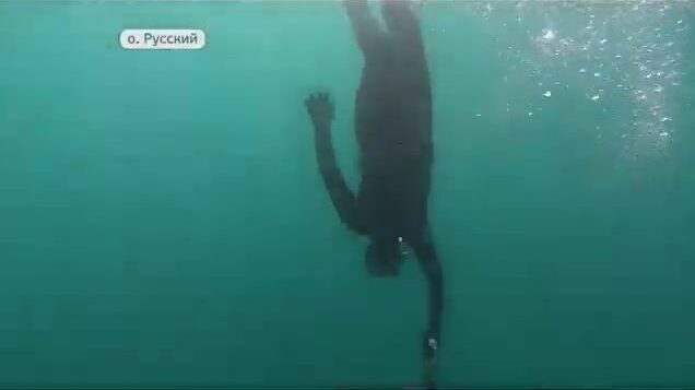 Подводная охота на острове Русский: соревнования на терпуга и морского окуня в бухте Хлестова