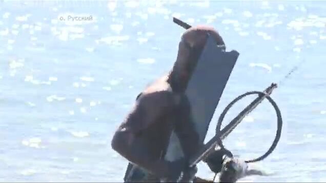 Подводная охота на острове Русский: соревнования на терпуга и морского окуня в бухте Хлестова