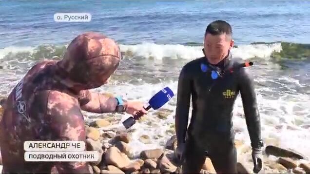 Подводная охота на острове Русский: соревнования на терпуга и морского окуня в бухте Хлестова