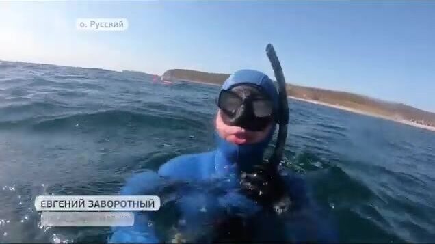 Подводная охота на острове Русский: соревнования на терпуга и морского окуня в бухте Хлестова