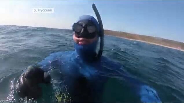 Подводная охота на острове Русский: соревнования на терпуга и морского окуня в бухте Хлестова