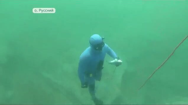 Подводная охота на острове Русский: соревнования на терпуга и морского окуня в бухте Хлестова