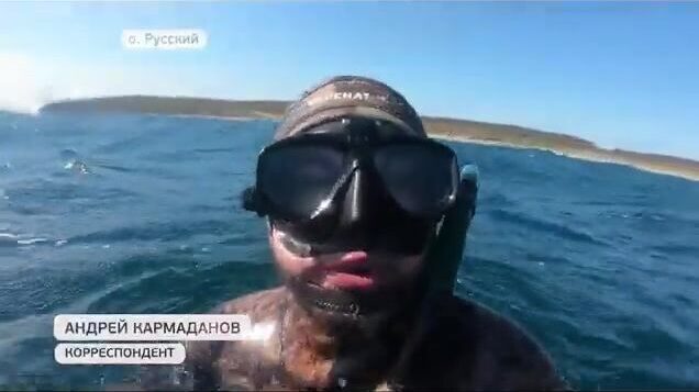 Подводная охота на острове Русский: соревнования на терпуга и морского окуня в бухте Хлестова