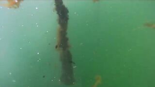 Щука на блесну и морская рыбалка у Сет-Иля в Квебеке