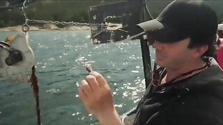 Щука на блесну и морская рыбалка у Сет-Иля в Квебеке