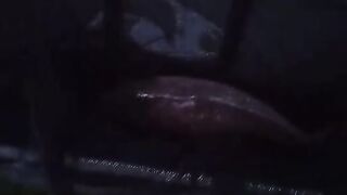Крупный карп в Сербии: пытаемся взвесить добычу на берегу