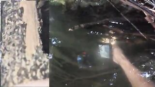 Поиски голавля и встреча с сомом на реке Ибар в Сербии