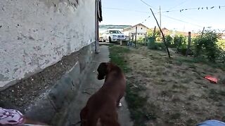 Поиски голавля и встреча с сомом на реке Ибар в Сербии