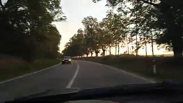 Поиск места для рыбалки в Сербии: озеро возле Бачка-Тополы и рыболовные мостки