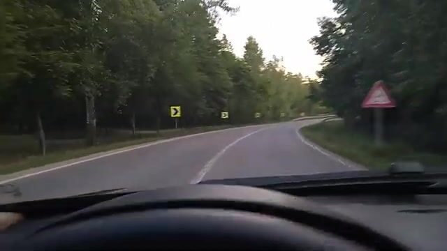 Поиск места для рыбалки в Сербии: озеро возле Бачка-Тополы и рыболовные мостки