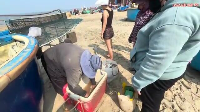 Большой улов сельди в Лонгхае: рыбаки возвращаются на круглых лодках и разбирают сети у берега