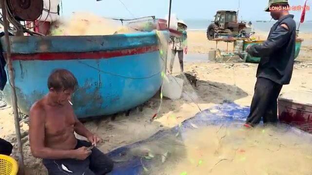 Большой улов сельди в Лонгхае: рыбаки возвращаются на круглых лодках и разбирают сети у берега